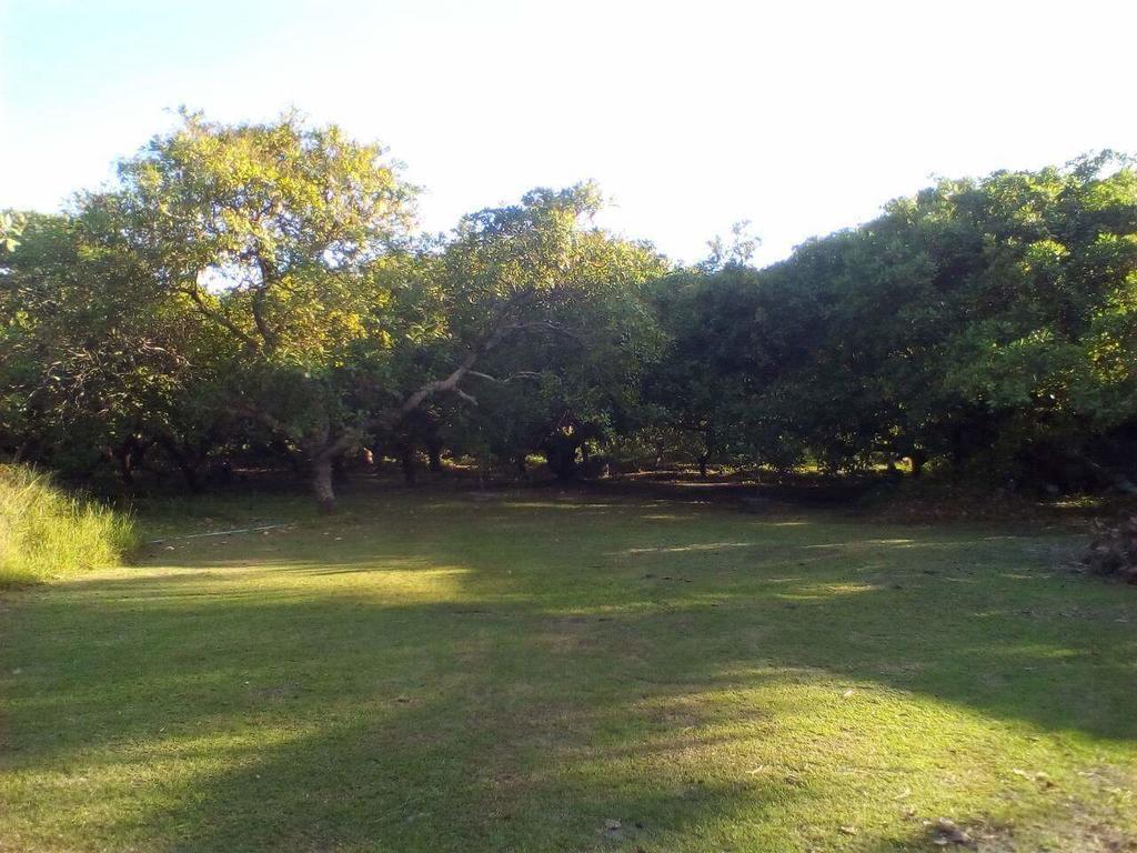 Cashew Nut Bungalow, Ko Mook Buitenkant foto