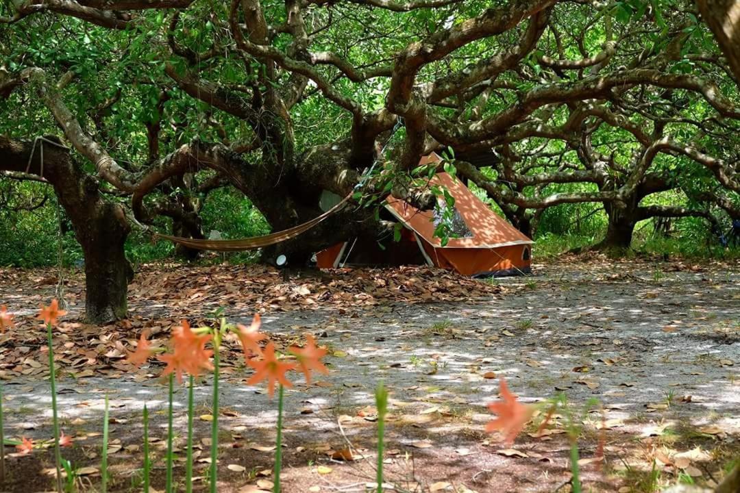 Cashew Nut Bungalow, Ko Mook Buitenkant foto